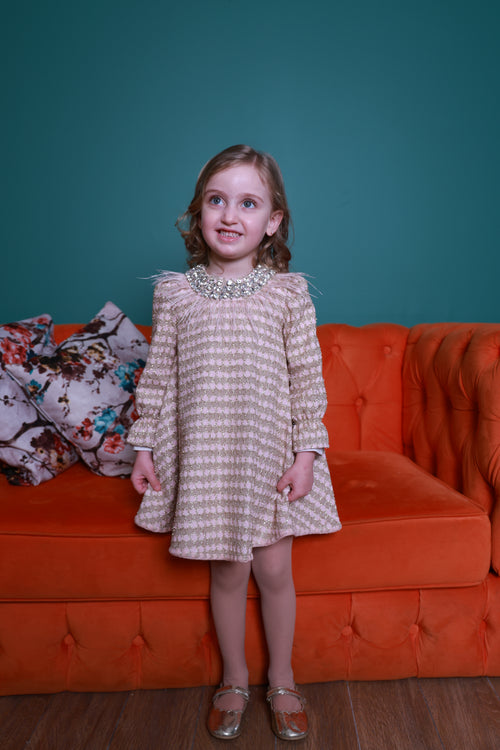 Blush Glitter Princess Dress
