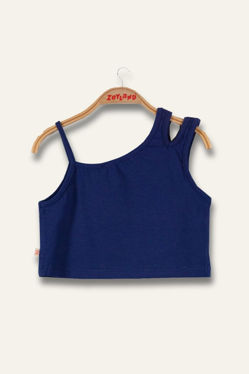 Asymmetrical Top