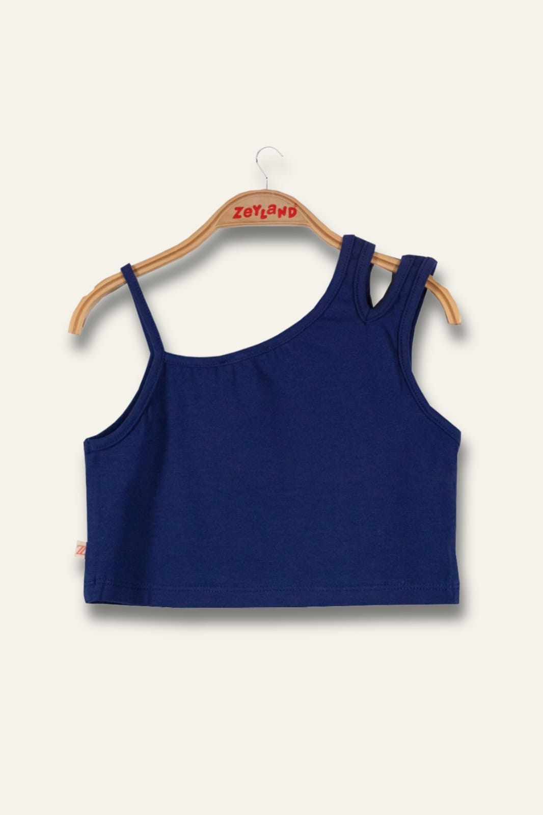 Asymmetrical Top
